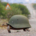 castleandcrow avatar