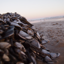 castleupontheclouds avatar