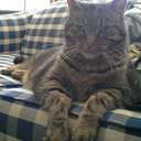 castoncastoff avatar