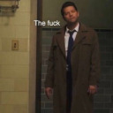 castrenchcoat4703 avatar