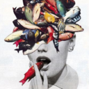 casual-penguin avatar