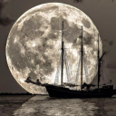 casualbos-bir avatar