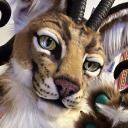 casualcaracal avatar