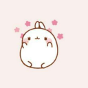 casualcherryblossomloser avatar