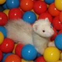 casually-leviathan avatar