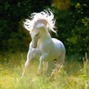 casuallycasualdaze-blog avatar