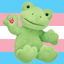 casuallyeatingrocks avatar