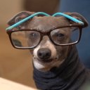 casuallygaveup avatar