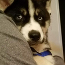 casualsweatercollector avatar