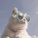 caswellwrites avatar