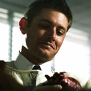 cat-attack-sara avatar