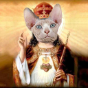 cat-jewelry avatar