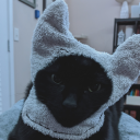 cat-tax avatar