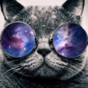 cat4president avatar