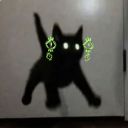 cataclysmicdisaster avatar