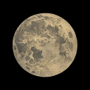 cataclysmictide avatar