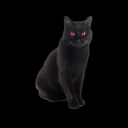 catacombzluvr avatar