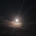 catalystofbordem avatar