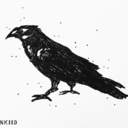 catandcrowtarot avatar