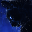 catapostrophe avatar