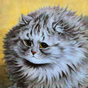 catastrophe-kitty avatar