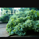 catastrophic13 avatar