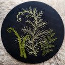 catastrophicallykat avatar