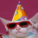 catbirthdays avatar