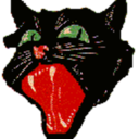 catblack avatar