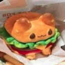 catborgarstan avatar