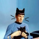 catboy-spock avatar