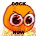 catboybankaccount avatar