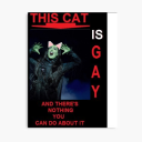 catboyelphaba avatar