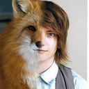 catch-the-fox avatar