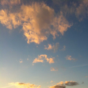 catchbutterfliesnotfeelings avatar