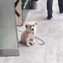 catchingketchup avatar