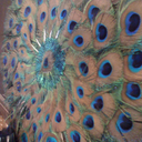 catchmeifucn-blog avatar