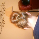 catchwhatever avatar