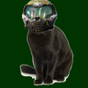 catcodemon avatar