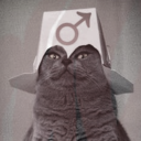catcontent-udk-gwk avatar