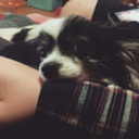 catcuriositykilled avatar