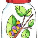 caterpillar-in-a-jar avatar