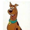 catfromthepast avatar