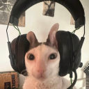 catgirlpurgatory avatar