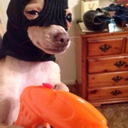 cathal1na-blog avatar