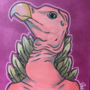 cathartes-flora avatar