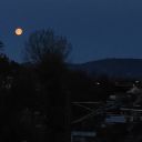 cathedralofmemories avatar