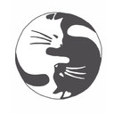 catherineefindleyy avatar