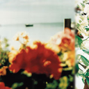 catherinewagley avatar