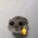 catholicshikamaru avatar